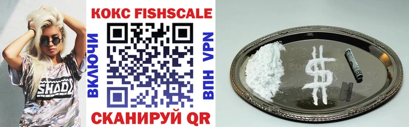 Купить закладки  Северодвинск  COCAIN VHQ 